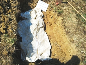 ekshumacija modrica